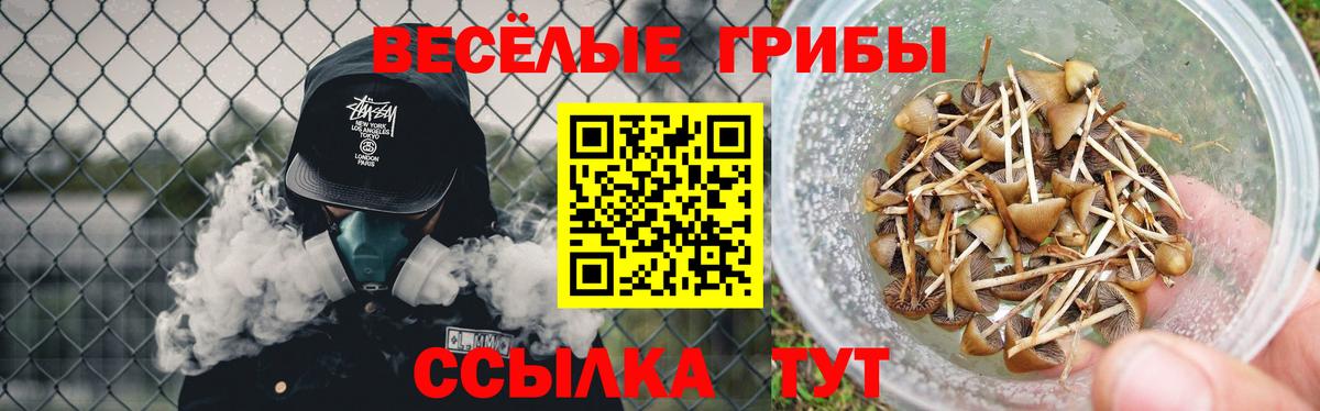 Соликамск  Галлюциногенные грибы Magic Shrooms  Псилоцибиновые грибы мицелий  Вход с VPN 